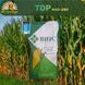Насіння кукурудзи ТОР ФАО 280 NK-101 фото 1