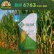 Насіння кукурудзи ВН 6763 ФАО-320 NK-104 фото 1
