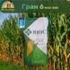 Насіння кукурудзи Гран 6 ФАО-300 NK-107 фото 1