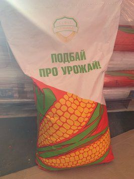 Насіння кукурудзи ДН Пивіха ФАО-180 NK-111 фото
