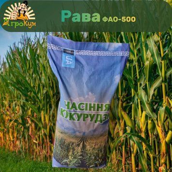 Насіння кукурудзи Рава ФАО-500 969 фото