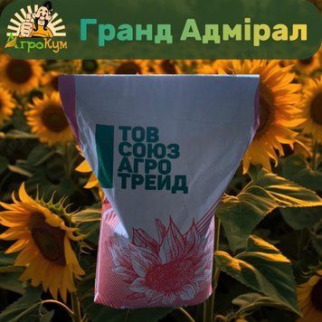 Насіння соняшника Гранд Адмірал (Гранстар 50 г) 810 фото