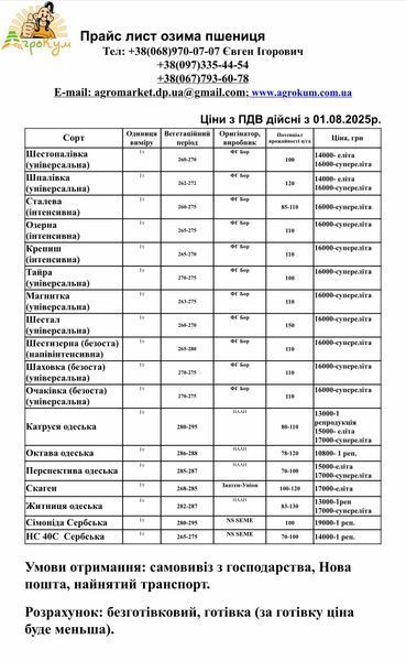 Насіння озимої пшениці Перспектива Одеська  833 фото